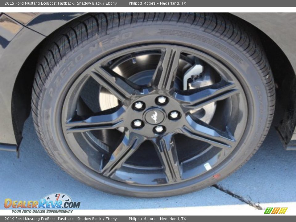 2019 Ford Mustang EcoBoost Fastback Shadow Black / Ebony Photo #5