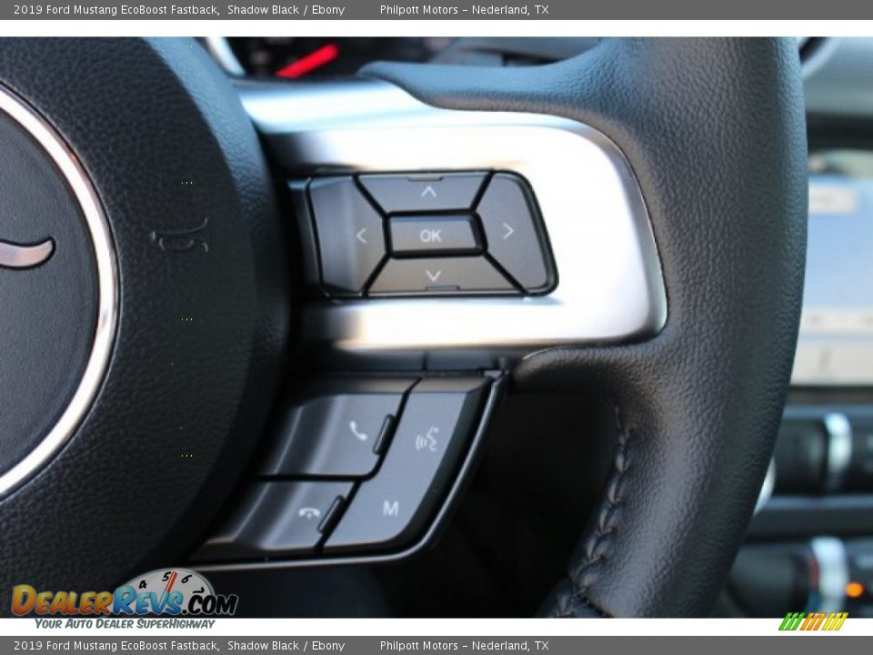 2019 Ford Mustang EcoBoost Fastback Shadow Black / Ebony Photo #18