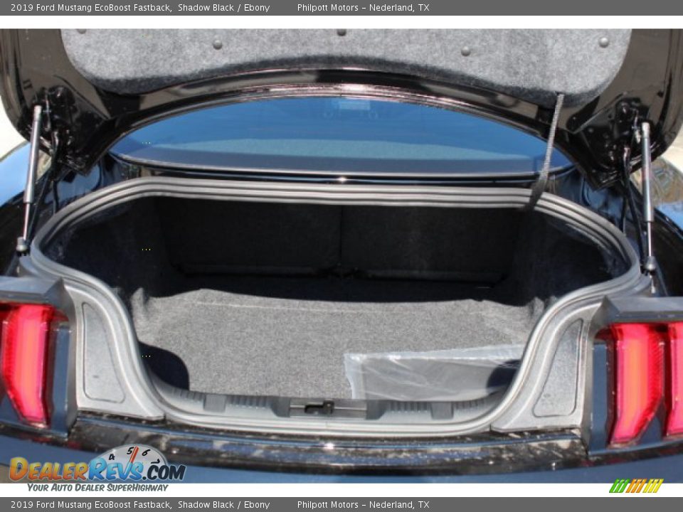 2019 Ford Mustang EcoBoost Fastback Shadow Black / Ebony Photo #19