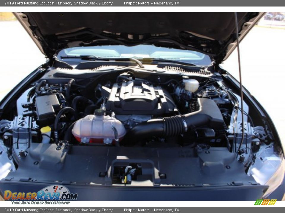 2019 Ford Mustang EcoBoost Fastback Shadow Black / Ebony Photo #20