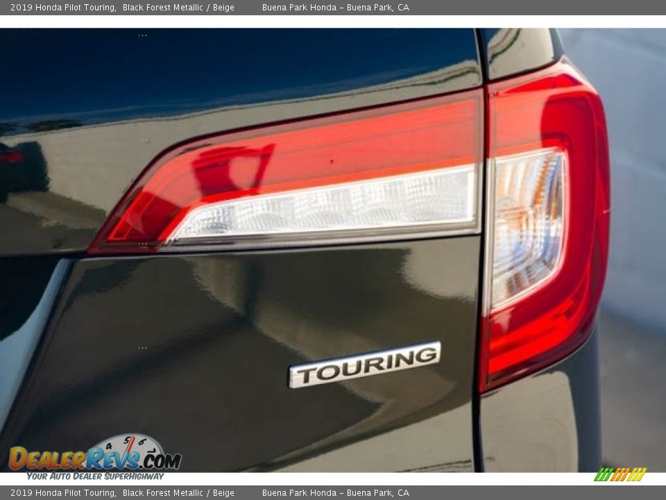 2019 Honda Pilot Touring Black Forest Metallic / Beige Photo #8