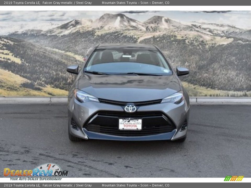 2019 Toyota Corolla LE Falcon Gray metallic / Steel Gray Photo #2