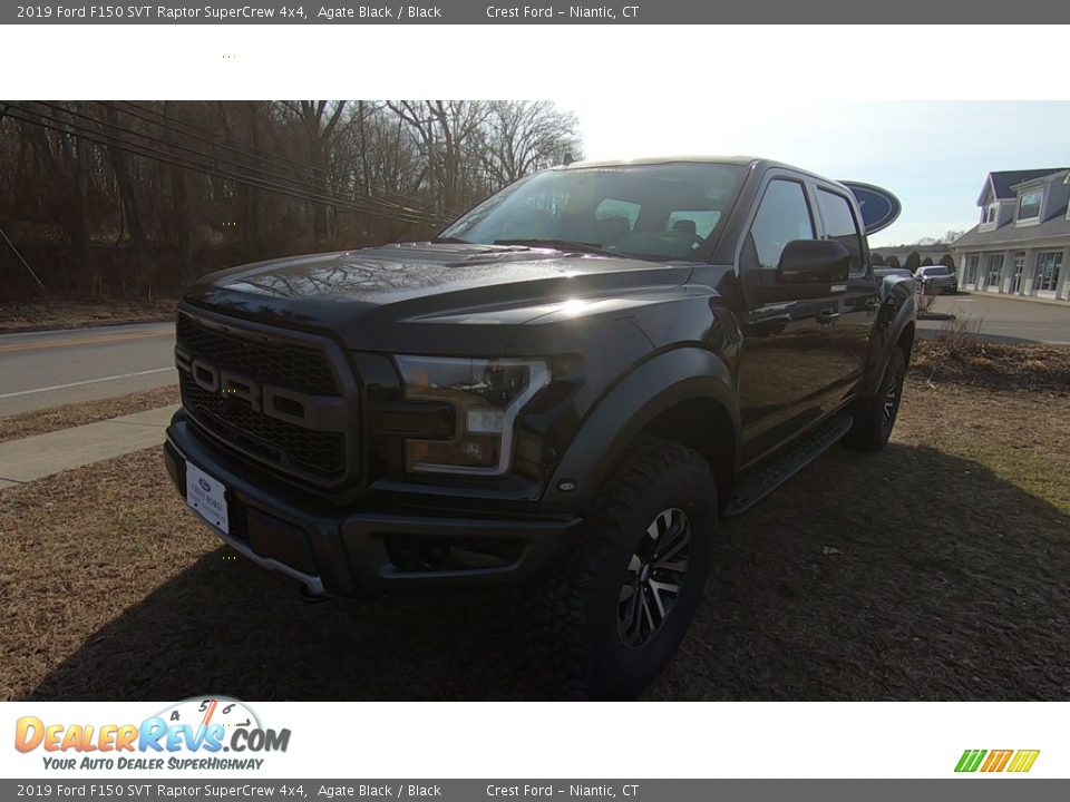 2019 Ford F150 SVT Raptor SuperCrew 4x4 Agate Black / Black Photo #3