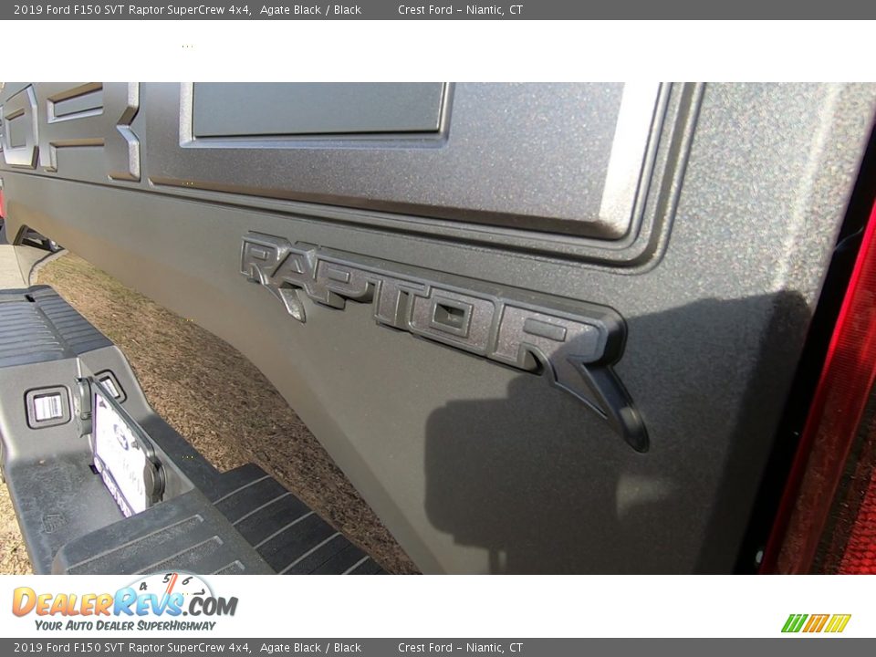 2019 Ford F150 SVT Raptor SuperCrew 4x4 Agate Black / Black Photo #9