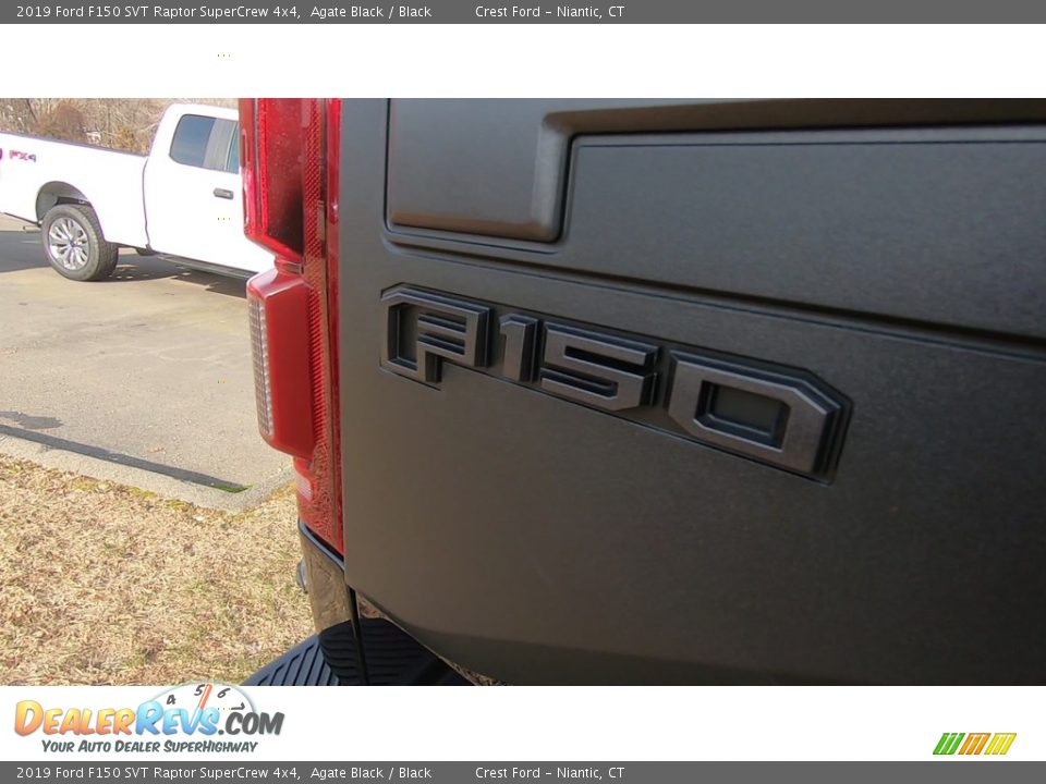 2019 Ford F150 SVT Raptor SuperCrew 4x4 Agate Black / Black Photo #10