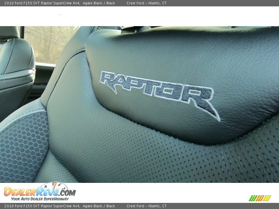 2019 Ford F150 SVT Raptor SuperCrew 4x4 Agate Black / Black Photo #13