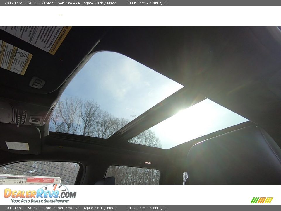 2019 Ford F150 SVT Raptor SuperCrew 4x4 Agate Black / Black Photo #21