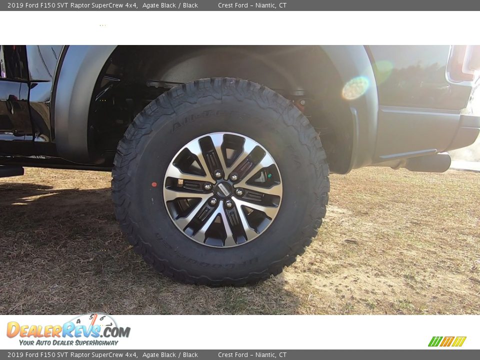 2019 Ford F150 SVT Raptor SuperCrew 4x4 Agate Black / Black Photo #24
