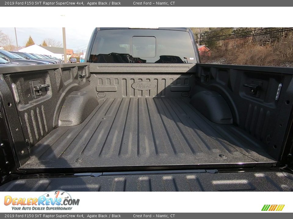 2019 Ford F150 SVT Raptor SuperCrew 4x4 Agate Black / Black Photo #25