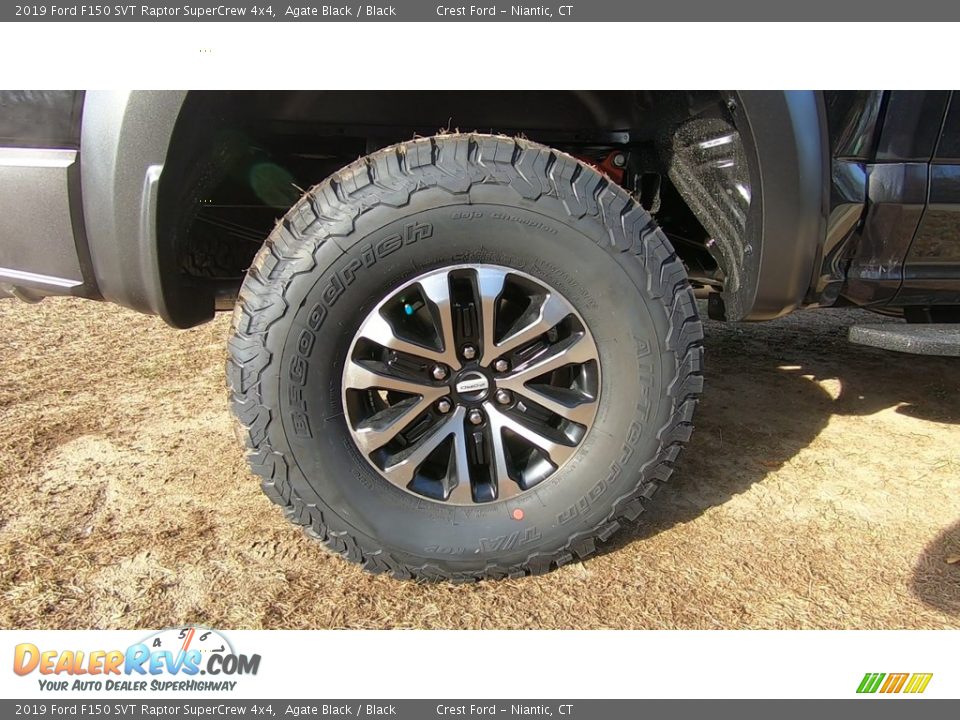 2019 Ford F150 SVT Raptor SuperCrew 4x4 Agate Black / Black Photo #26