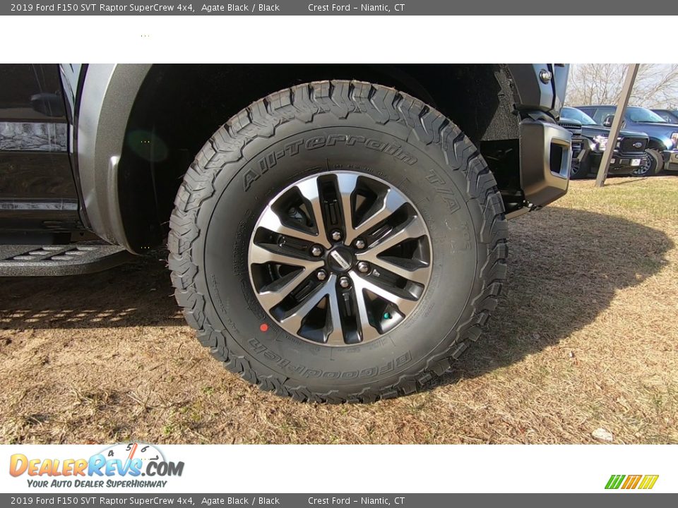 2019 Ford F150 SVT Raptor SuperCrew 4x4 Agate Black / Black Photo #30