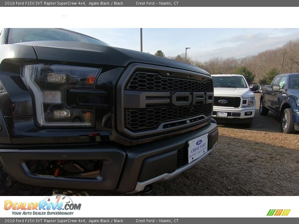 2019 Ford F150 SVT Raptor SuperCrew 4x4 Agate Black / Black Photo #31