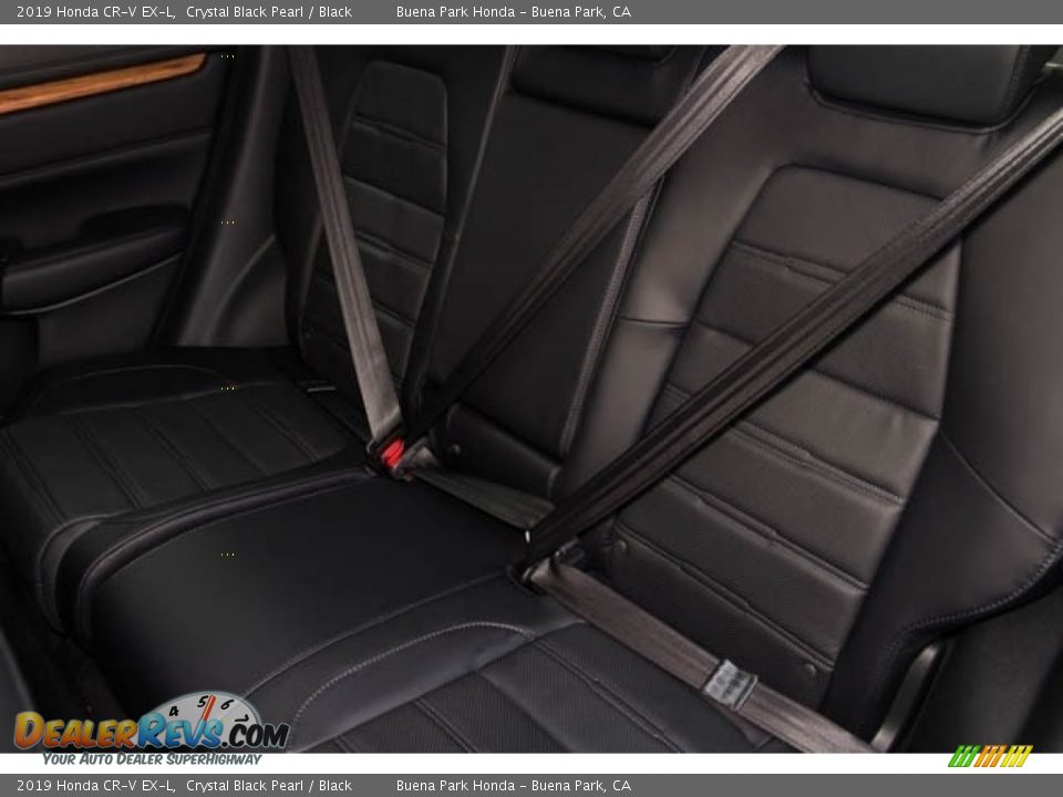 Rear Seat of 2019 Honda CR-V EX-L Photo #16