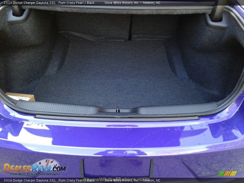 2019 Dodge Charger Daytona 392 Plum Crazy Pearl / Black Photo #12
