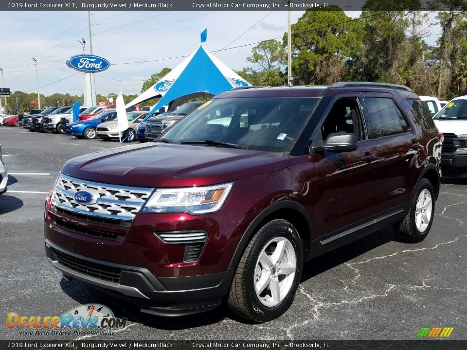 2019 Ford Explorer XLT Burgundy Velvet / Medium Black Photo #1