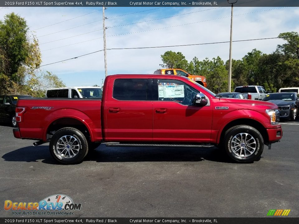 2019 Ford F150 XLT Sport SuperCrew 4x4 Ruby Red / Black Photo #6