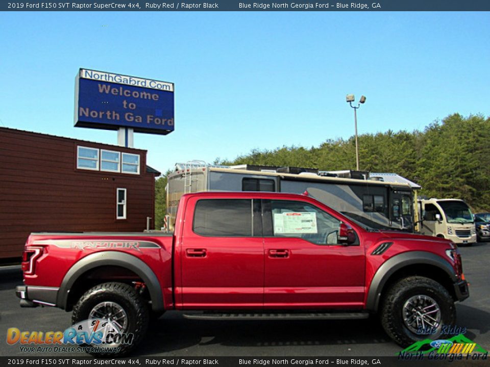 2019 Ford F150 SVT Raptor SuperCrew 4x4 Ruby Red / Raptor Black Photo #6