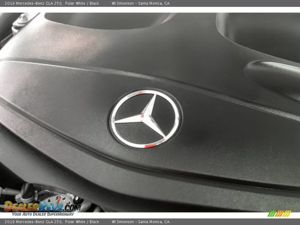 2019 Mercedes-Benz GLA 250 Polar White / Black Photo #31