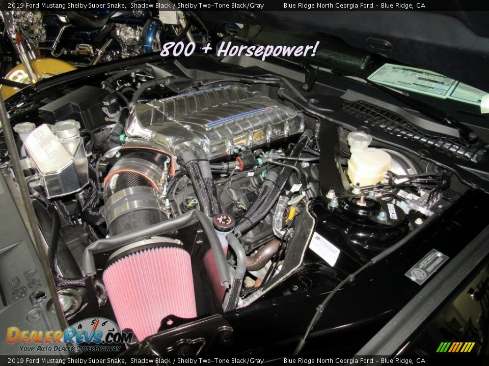 2019 Ford Mustang Shelby Super Snake Shadow Black / Shelby Two-Tone Black/Gray Photo #29