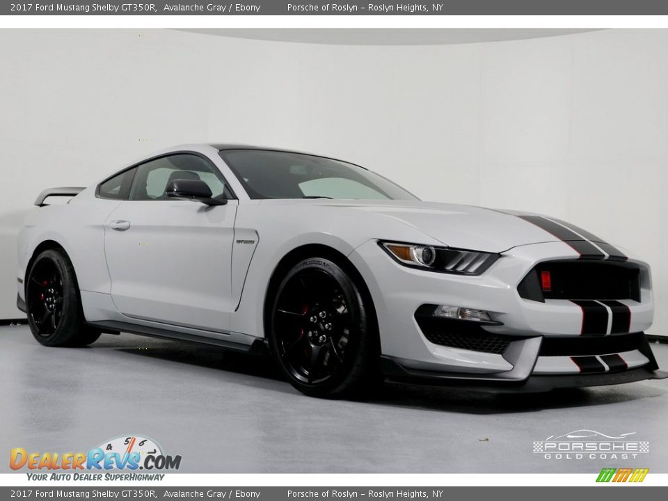 2017 Ford Mustang Shelby GT350R Avalanche Gray / Ebony Photo #1