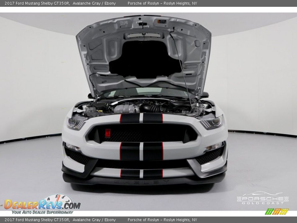 2017 Ford Mustang Shelby GT350R Avalanche Gray / Ebony Photo #3