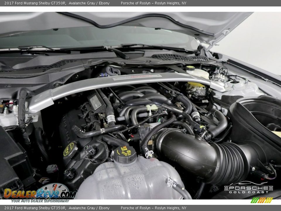 2017 Ford Mustang Shelby GT350R Avalanche Gray / Ebony Photo #4