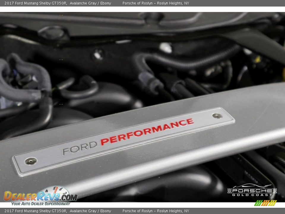 2017 Ford Mustang Shelby GT350R Avalanche Gray / Ebony Photo #5