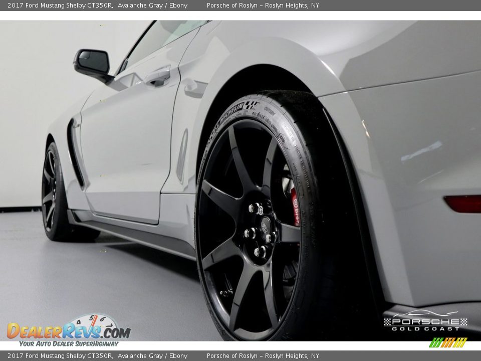 2017 Ford Mustang Shelby GT350R Avalanche Gray / Ebony Photo #8