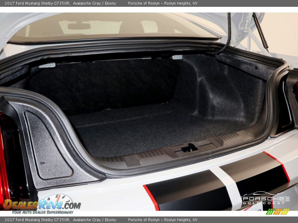 2017 Ford Mustang Shelby GT350R Avalanche Gray / Ebony Photo #11