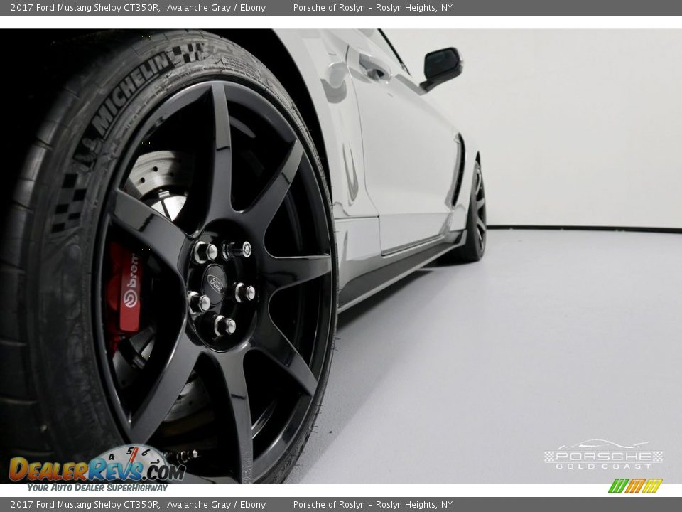 2017 Ford Mustang Shelby GT350R Avalanche Gray / Ebony Photo #13
