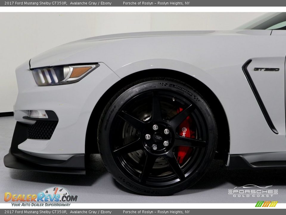 2017 Ford Mustang Shelby GT350R Avalanche Gray / Ebony Photo #14