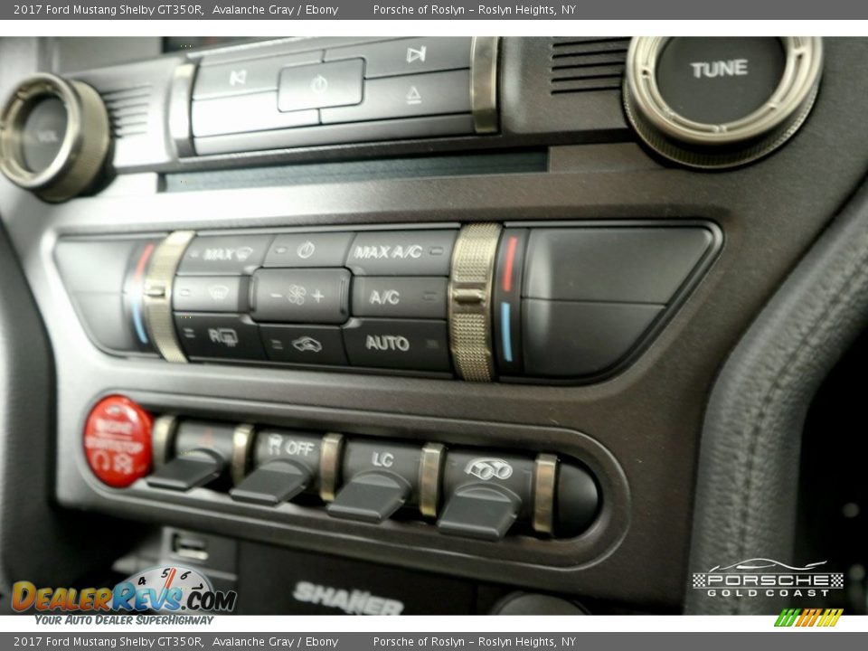 2017 Ford Mustang Shelby GT350R Avalanche Gray / Ebony Photo #20