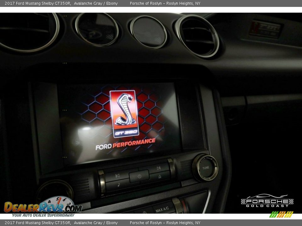 2017 Ford Mustang Shelby GT350R Avalanche Gray / Ebony Photo #21