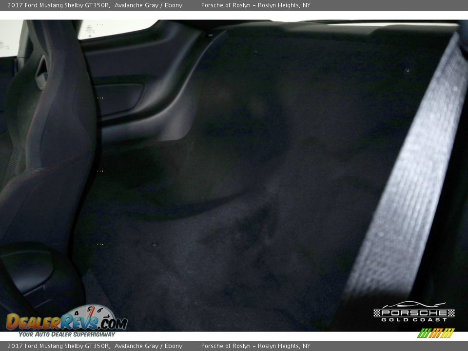 2017 Ford Mustang Shelby GT350R Avalanche Gray / Ebony Photo #24