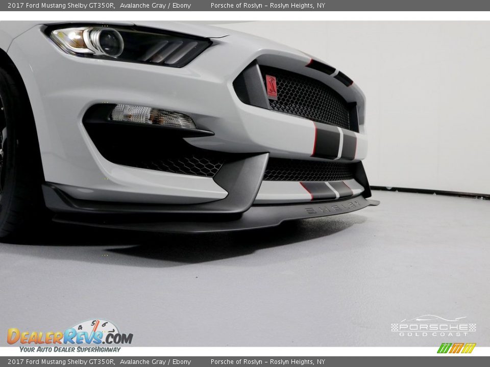 2017 Ford Mustang Shelby GT350R Avalanche Gray / Ebony Photo #25