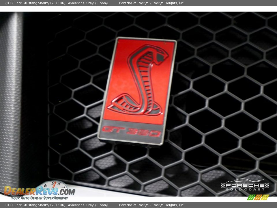 2017 Ford Mustang Shelby GT350R Avalanche Gray / Ebony Photo #26