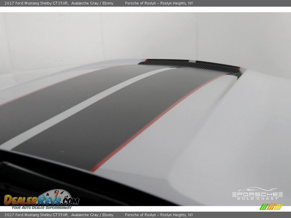 2017 Ford Mustang Shelby GT350R Avalanche Gray / Ebony Photo #27
