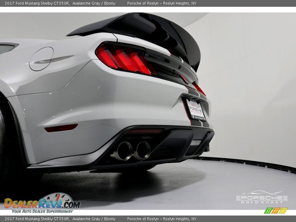 2017 Ford Mustang Shelby GT350R Avalanche Gray / Ebony Photo #28