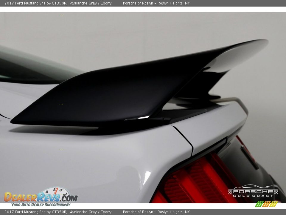 2017 Ford Mustang Shelby GT350R Avalanche Gray / Ebony Photo #29