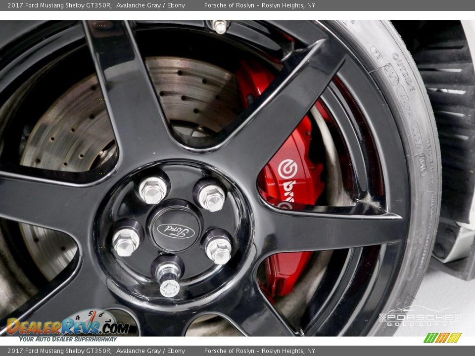 2017 Ford Mustang Shelby GT350R Avalanche Gray / Ebony Photo #30