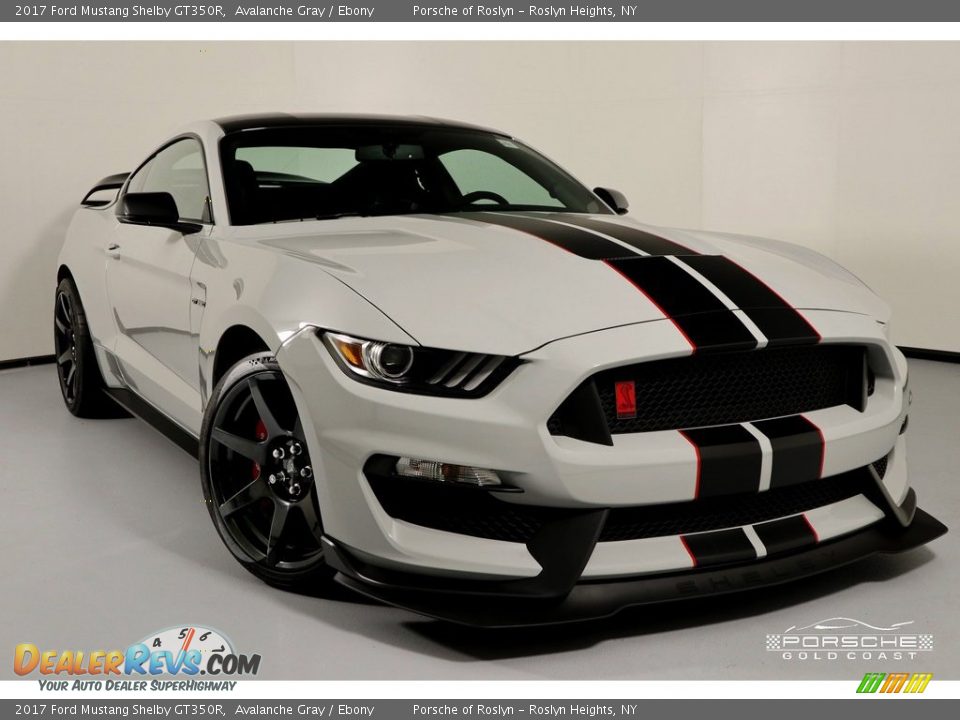 2017 Ford Mustang Shelby GT350R Avalanche Gray / Ebony Photo #31