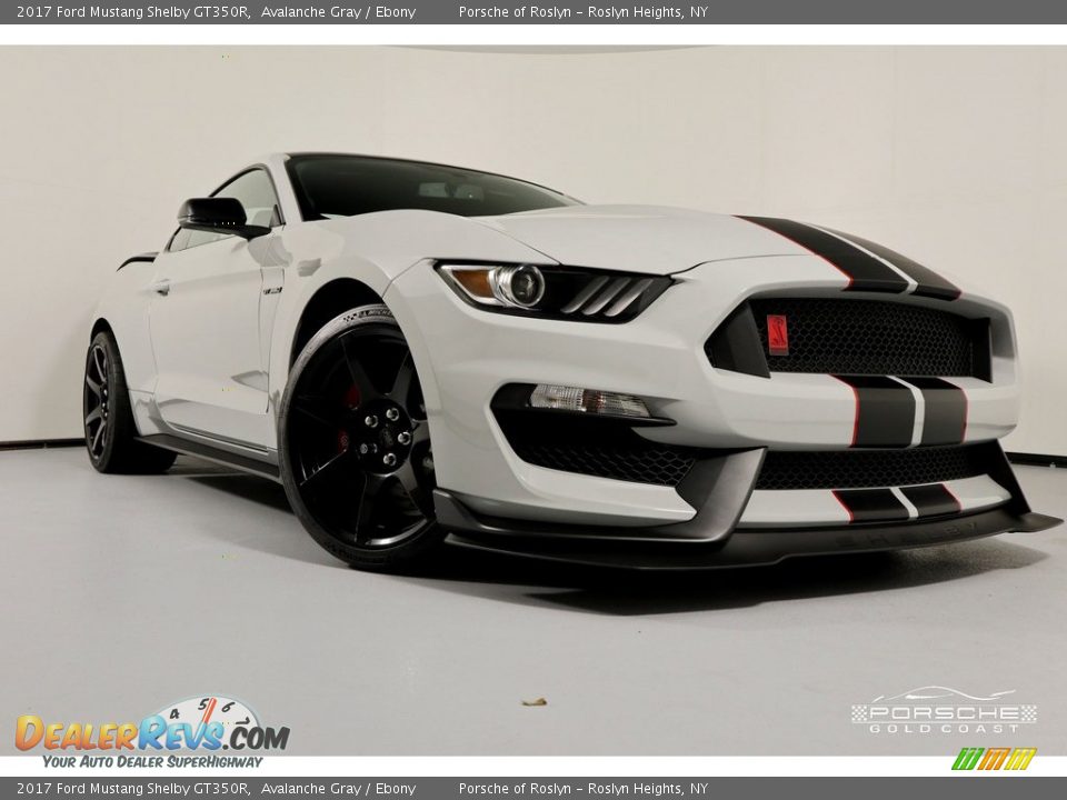2017 Ford Mustang Shelby GT350R Avalanche Gray / Ebony Photo #32