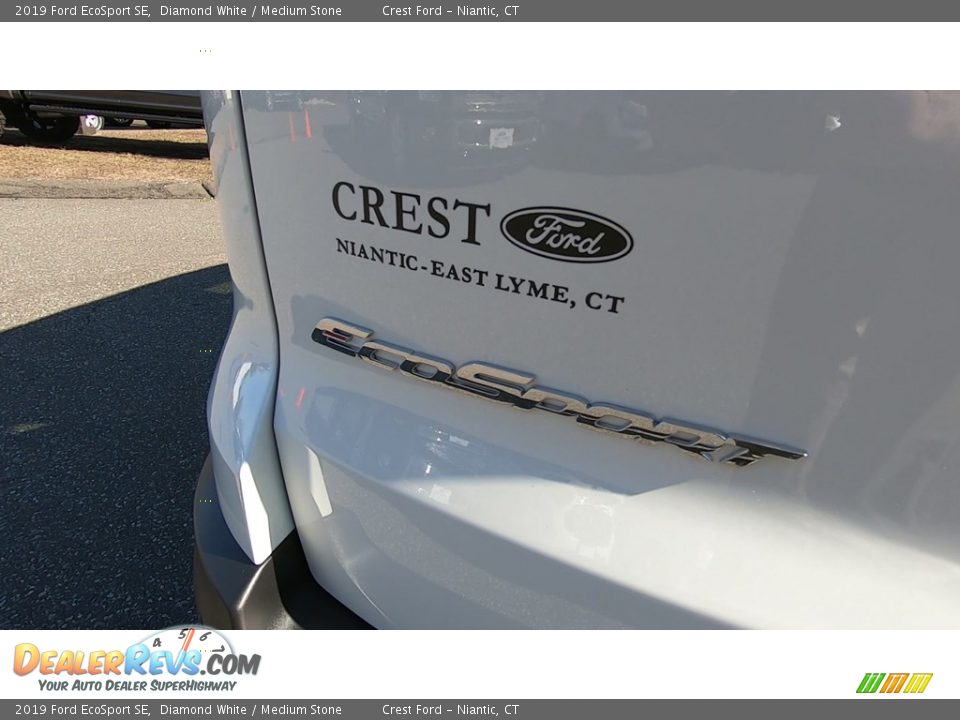 2019 Ford EcoSport SE Diamond White / Medium Stone Photo #10