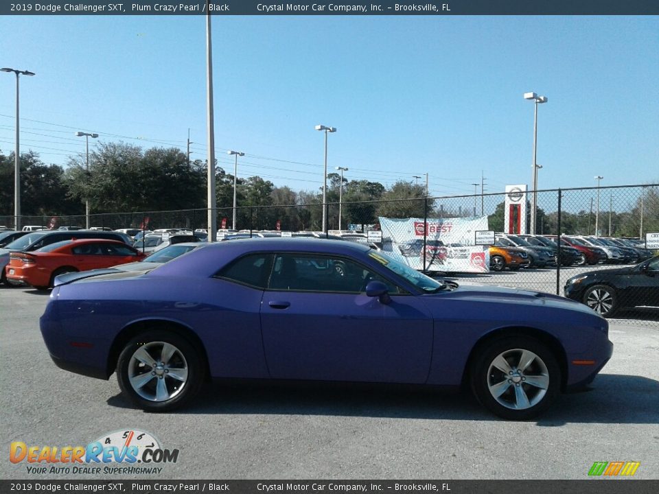2019 Dodge Challenger SXT Plum Crazy Pearl / Black Photo #6