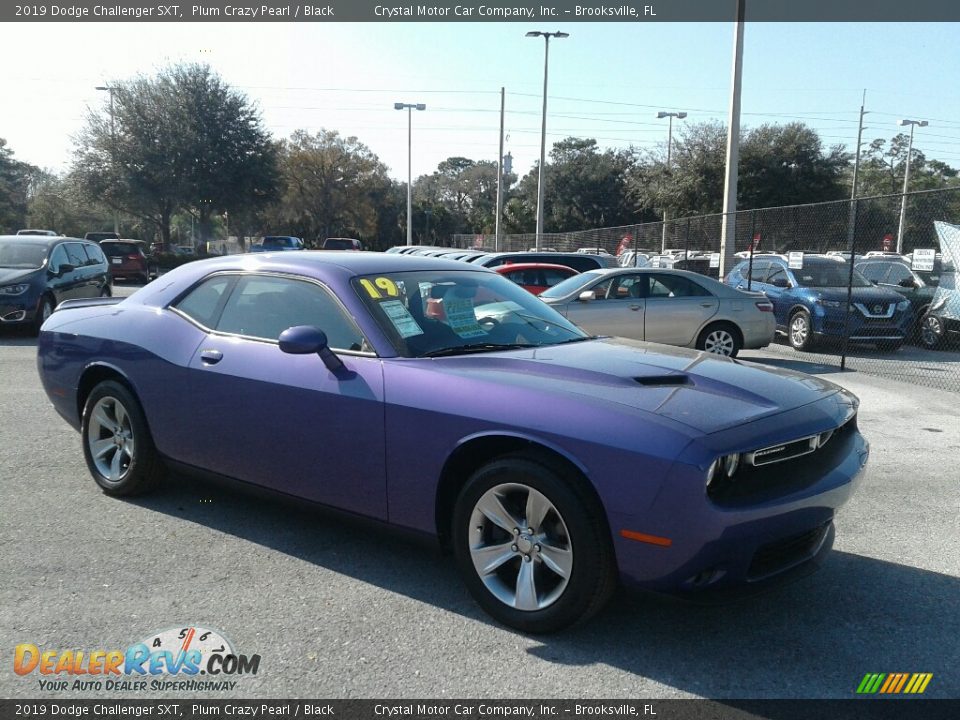 2019 Dodge Challenger SXT Plum Crazy Pearl / Black Photo #7