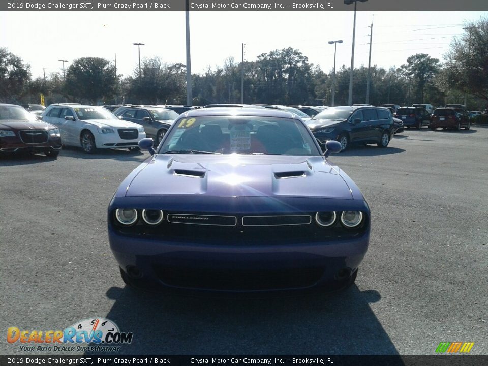 2019 Dodge Challenger SXT Plum Crazy Pearl / Black Photo #8