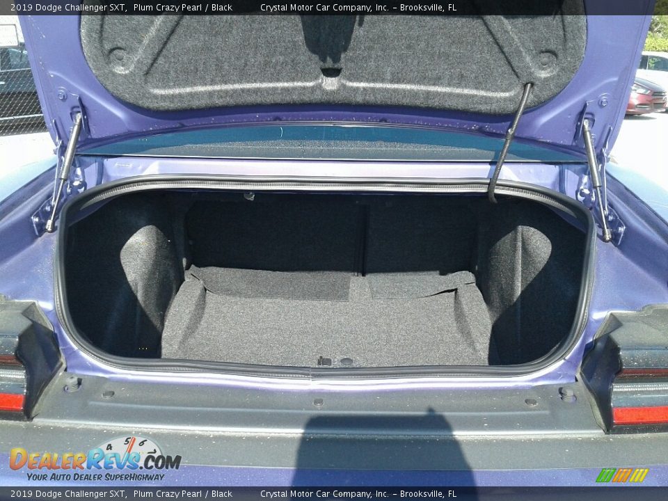2019 Dodge Challenger SXT Plum Crazy Pearl / Black Photo #19