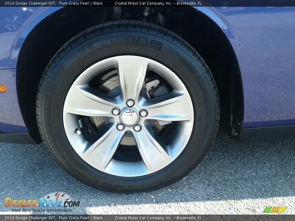 2019 Dodge Challenger SXT Plum Crazy Pearl / Black Photo #20