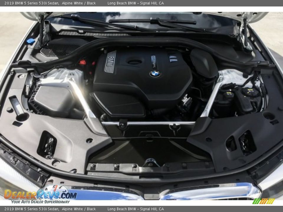 2019 BMW 5 Series 530i Sedan Alpine White / Black Photo #8