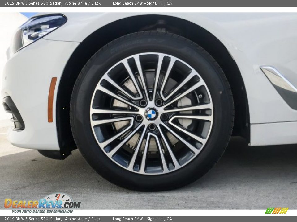 2019 BMW 5 Series 530i Sedan Alpine White / Black Photo #9